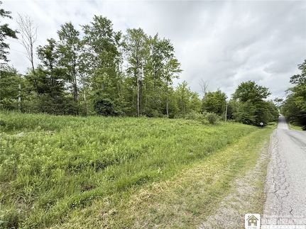 Timberland Property for sale in Chautauqua County, New York