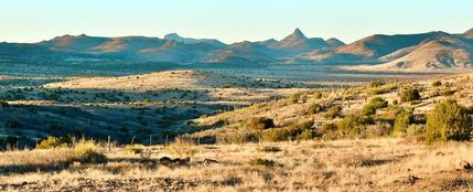 Undeveloped Land for sale in Brewster County, Texas