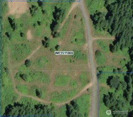 Undeveloped Land for sale in Cowlitz County, Washington