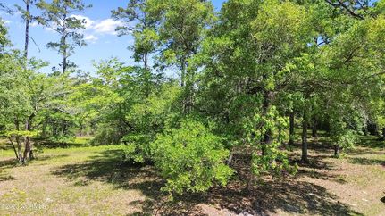 Timberland Property for sale in Brunswick County, North Carolina