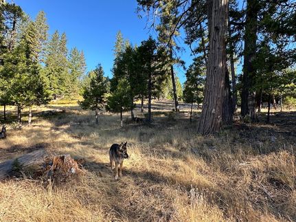Farm and Ranch for sale in Calaveras County, California