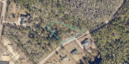 Undeveloped Land for sale in Effingham County, Georgia
