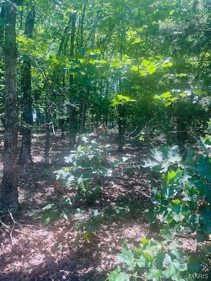 Farm and Ranch for sale in Gasconade County, Missouri
