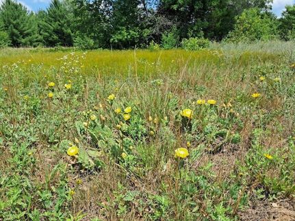 Farm and Ranch for sale in Newaygo County, Michigan