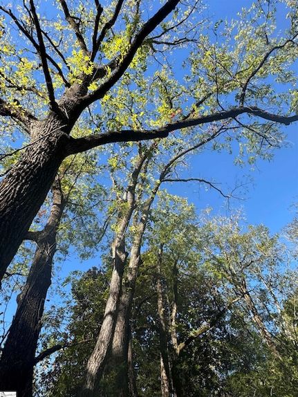 Timberland Property for sale in Pickens County, South Carolina