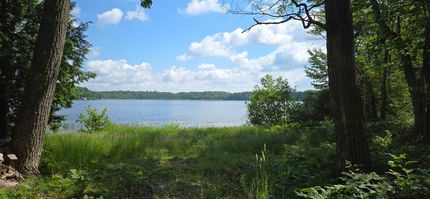 Farm and Ranch for sale in Vilas County, Wisconsin
