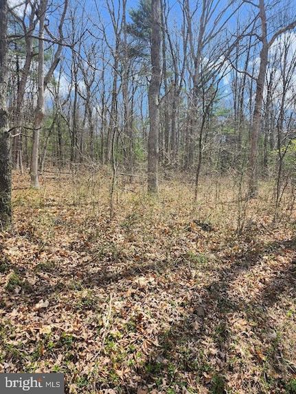Timberland Property for sale in Bedford County, Pennsylvania