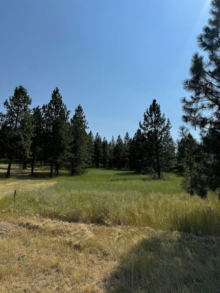 Recreational Property for sale in Lincoln County, Washington