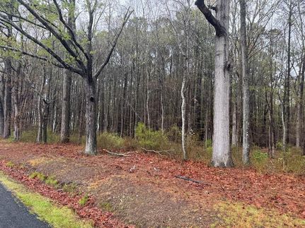 Timberland Property for sale in Accomack County, Virginia