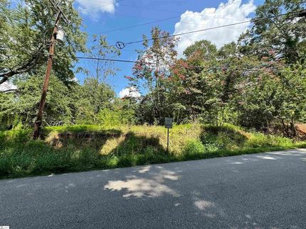 Undeveloped Land for sale in Greenville County, South Carolina