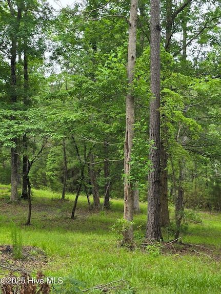 Homesite for sale in Onslow County, North Carolina