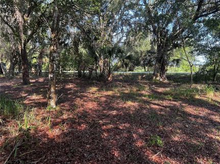 Farm and Ranch for sale in Polk County, Florida