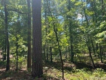 Recreational Property for sale in Garland County, Arkansas