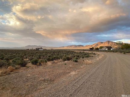Undeveloped Land for sale in Lyon County, Nevada