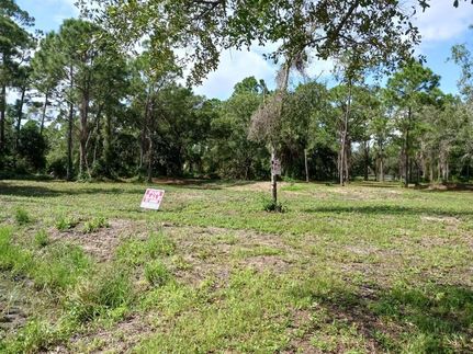 Timberland Property for sale in Hendry County, Florida