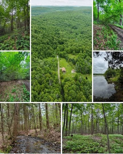 Undeveloped Land for sale in Broome County, New York
