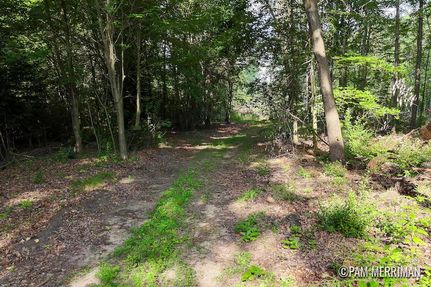 Recreational Property for sale in Montcalm County, Michigan