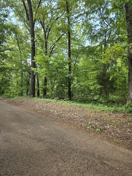 Timberland Property for sale in Montgomery County, Tennessee