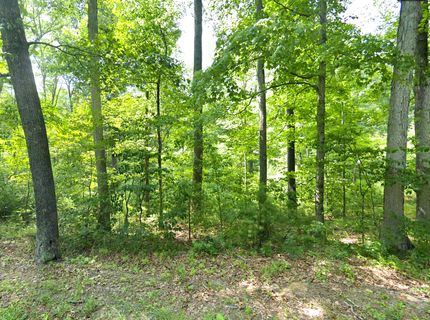 Farm and Ranch for sale in Hampshire County, West Virginia