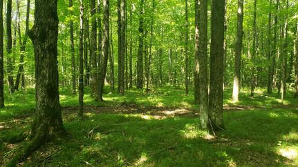 Recreational Property for sale in Price County, Wisconsin