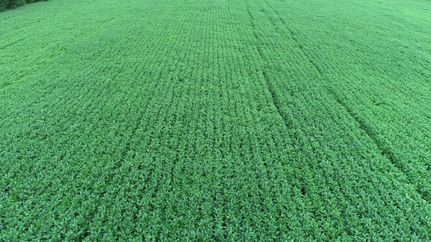 Land for sale in DeKalb County, Missouri