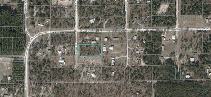 Homesite for sale in Taylor County, Florida