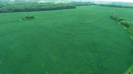 Farm and Ranch for sale in DeKalb County, Missouri