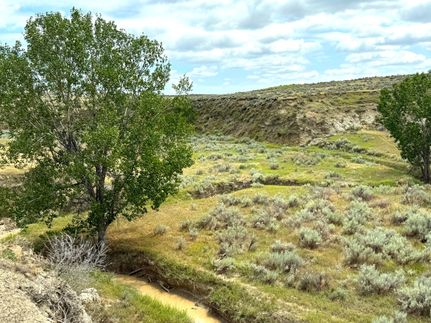 Undeveloped Land for sale in Custer County, Montana