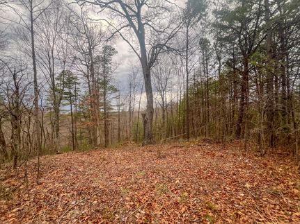 Farm and Ranch for sale in Vinton County, Ohio
