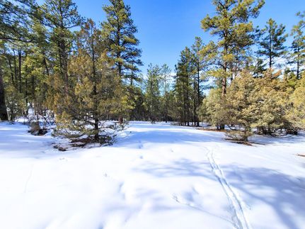 Recreational Property for sale in Rio Arriba County, New Mexico