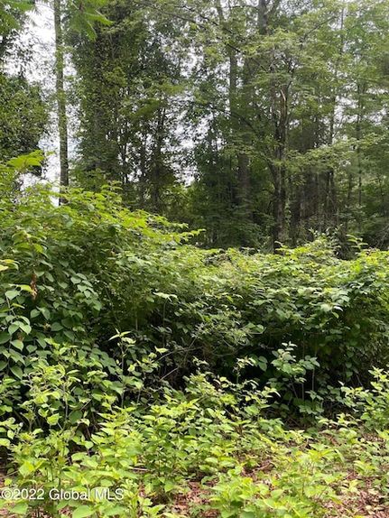 Farm and Ranch for sale in Warren County, New York