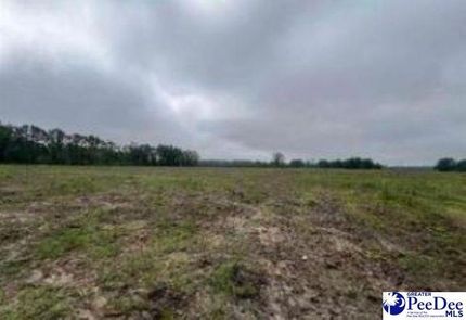 Land for sale in Darlington County, South Carolina