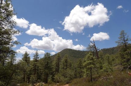 Land for sale in Gila County, Arizona