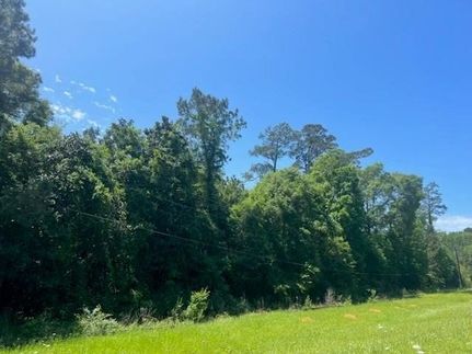 Hunting Property for sale in Polk County, Texas