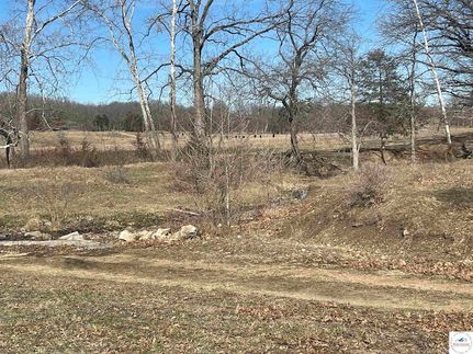 Undeveloped Land for sale in Hickory County, Missouri
