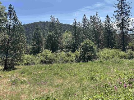 Recreational Property for sale in Siskiyou County, California
