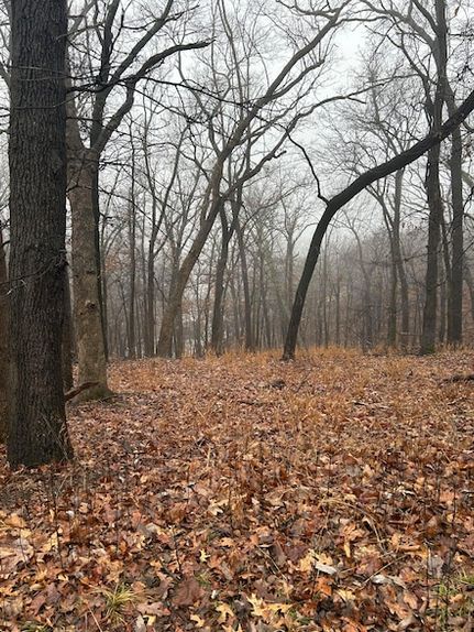 Undeveloped Land for sale in Delaware County, Oklahoma