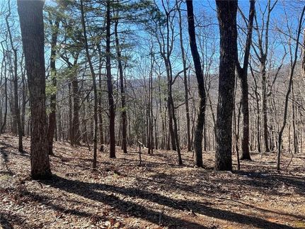 Farm and Ranch for sale in Dawson County, Georgia
