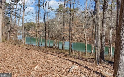 Lakefront Property for sale in Hart County, Georgia