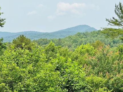 Land for sale in Fannin County, Georgia