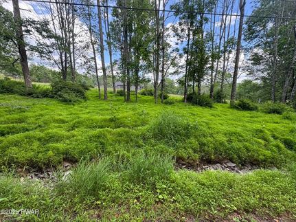 Land for sale in Wayne County, Pennsylvania