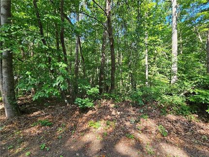 Undeveloped Land for sale in Bartow County, Georgia