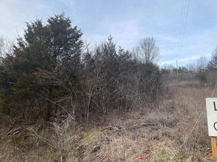 Recreational Property for sale in Tazewell County, Virginia