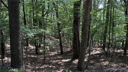 Land for sale in Pickens County, Georgia