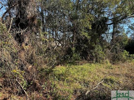 Undeveloped Land for sale in Chatham County, Georgia