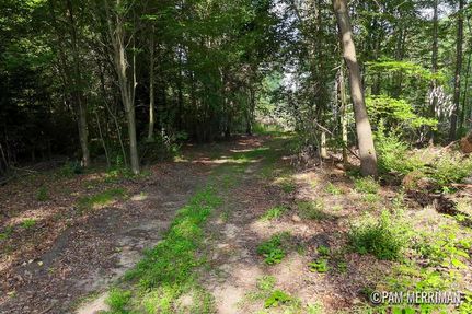Land for sale in Montcalm County, Michigan