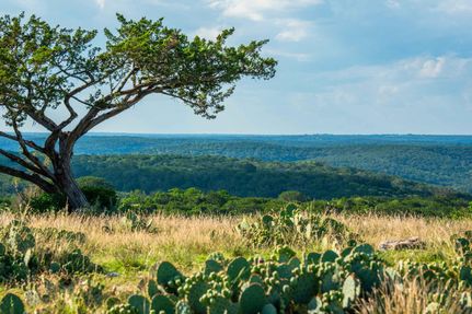 Land for sale in Real County, Texas