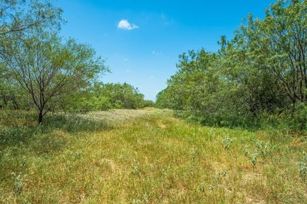 Farm and Ranch for sale in Jim Wells County, Texas
