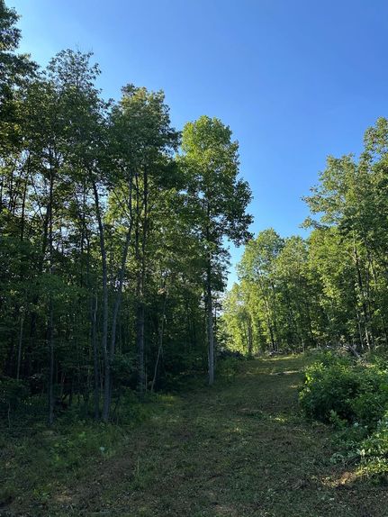 Land for sale in Fentress County, Tennessee