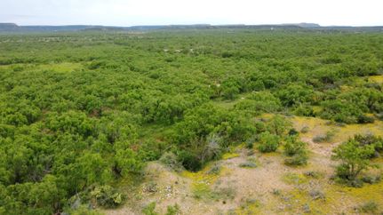 Land for sale in Coke County, Texas